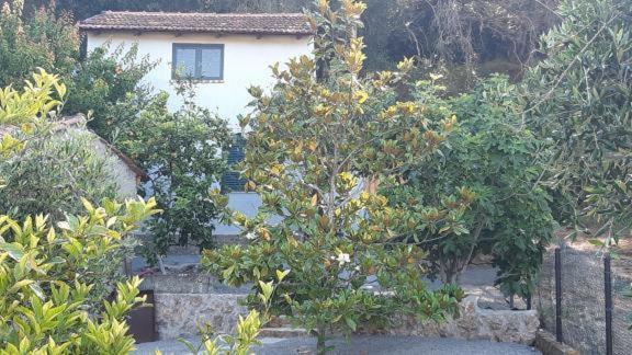 Kato Korakiana White Manolia Cottage מראה חיצוני תמונה